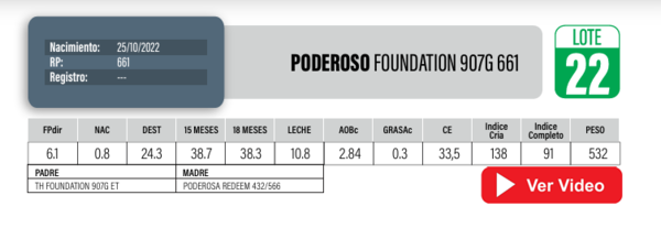 Lote Toros Hereford a remate en Cabaña La Poderosa, Florida