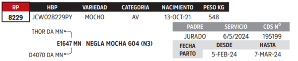 Lote LOTE 79