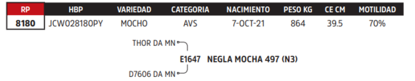 Lote LOTE 1