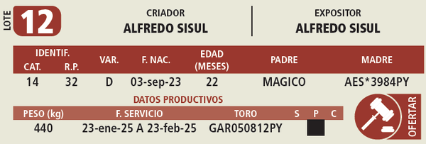 Lote LOTE 12