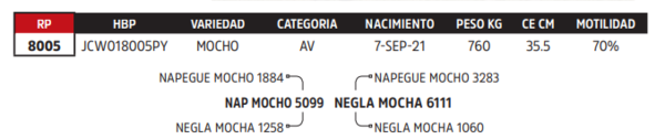 Lote LOTE 87