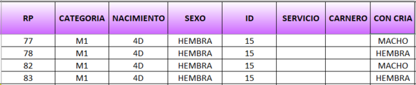 Lote LOTE 8