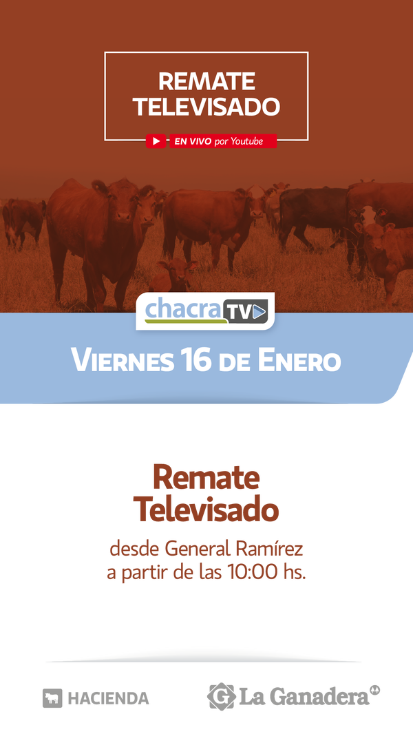  83° REMATE TELEVISADO