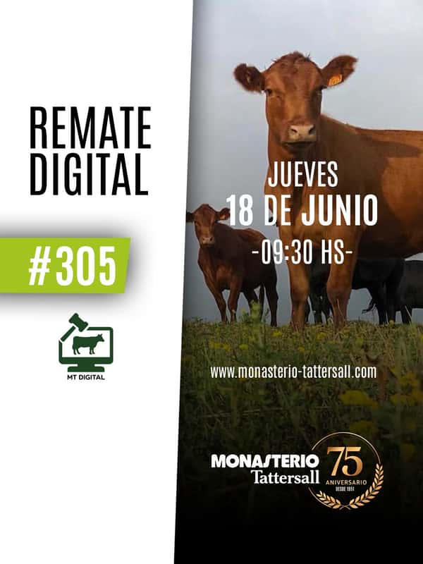  Remate digital 305°