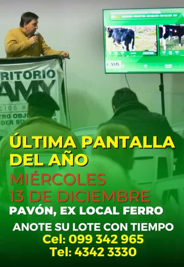  Ultima Pantalla del Año - Escritorio Camy