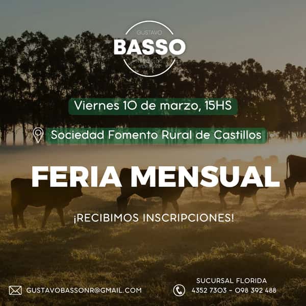 Remate Feria Basso