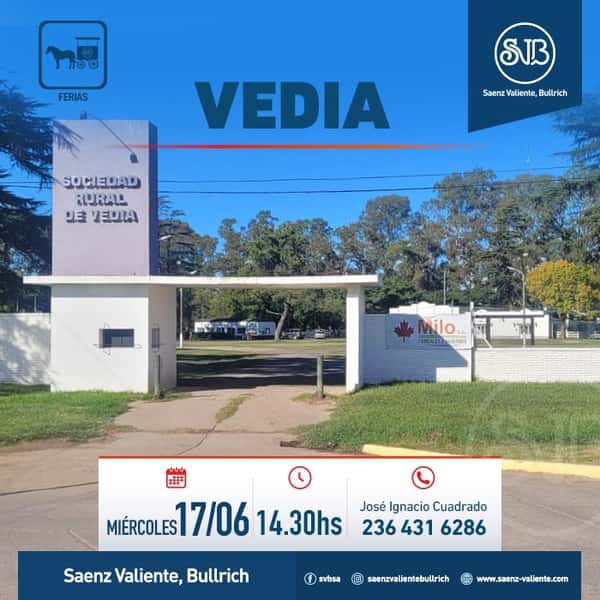 Feria en Vedia
