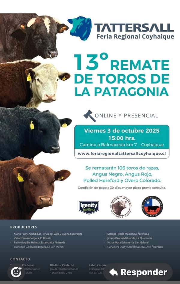  13° Remate de Toros de La Patagonia