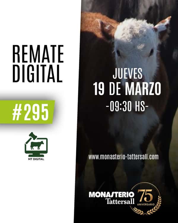  Remate digital 295°