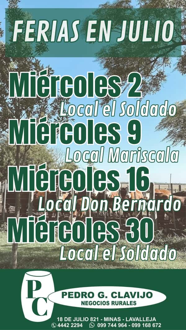 Feria mensual - Local Don Bernardo