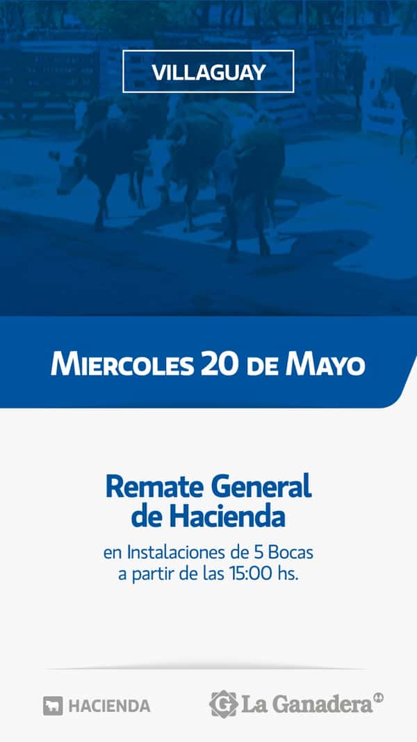  REMATE FERIA 5 BOCAS - PASO DE LA LAGUNA