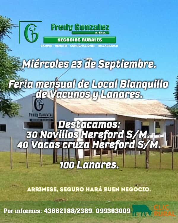 Feria mensual - Fredy Gonzales y Cia 