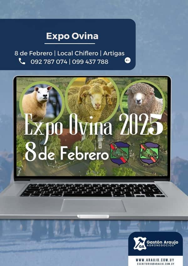  Expo Ovina