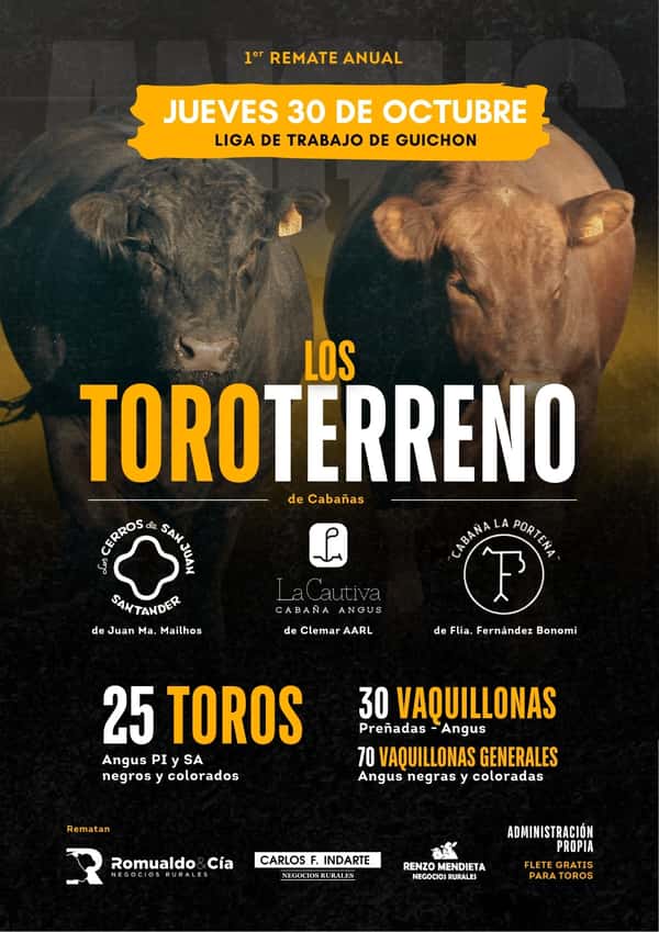 1º Remate Anual - Los Todo Terreno