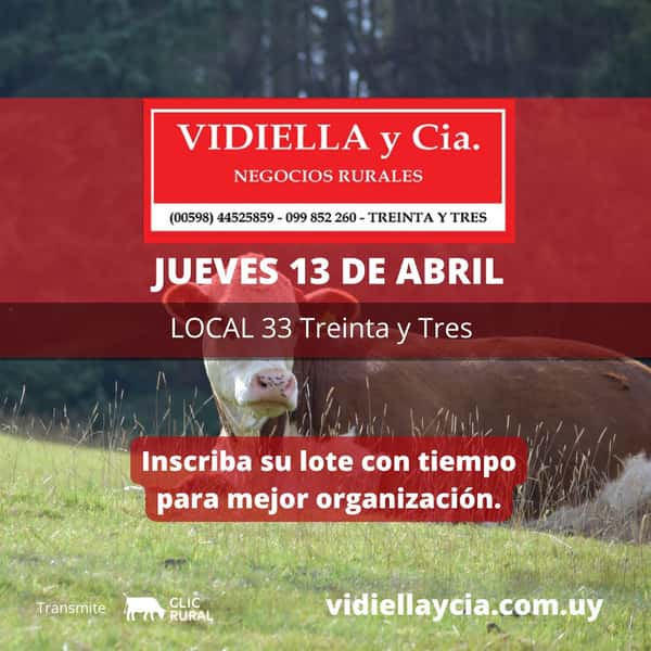 Remate Feria Mensual - Vidiella y Cia