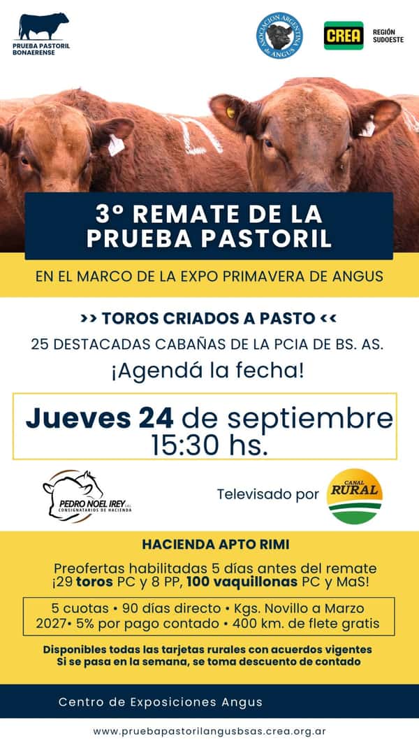 Remate de la 3ª Prueba Pastoril