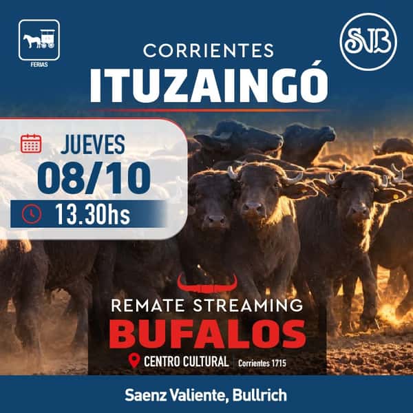 Feria en Ituzaingo — SAENZ VALIENTE, BULLRICH Y CIA. S.A.