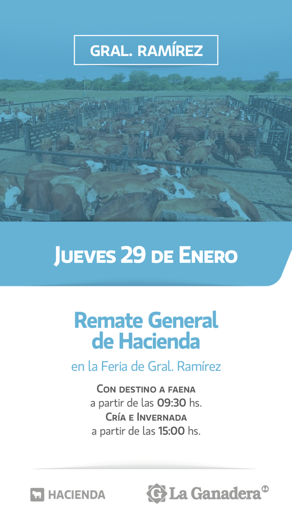   REMATE FERIA EN INSTALACIONES DE GRAL. RAMÍREZ