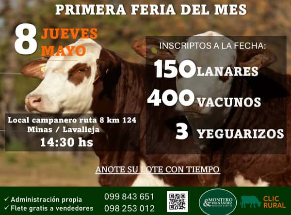 Feria Mensual - Montero y Fernandez