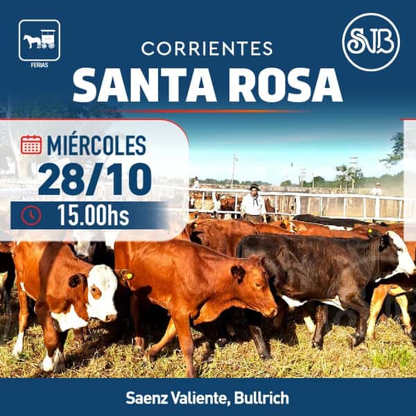 Feria en Santa Rosa — SAENZ VALIENTE, BULLRICH Y CIA. S.A.
