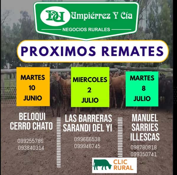  Feria mensual - Illescas