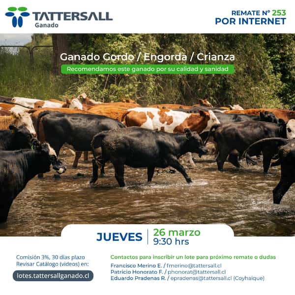  26 de Marzo Ganado Crianza y Engorda