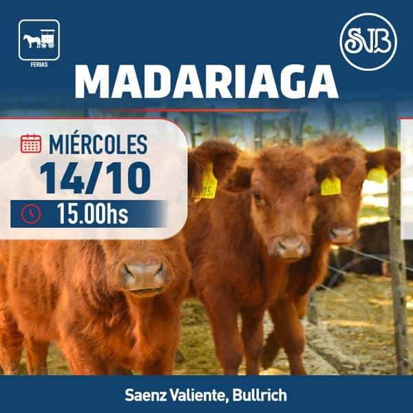 Feria en Gral. Madariaga — SAENZ VALIENTE, BULLRICH Y CIA. S.A.