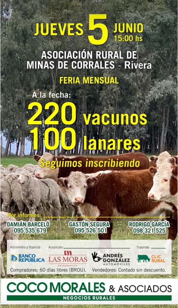  MINAS DE CORRALES