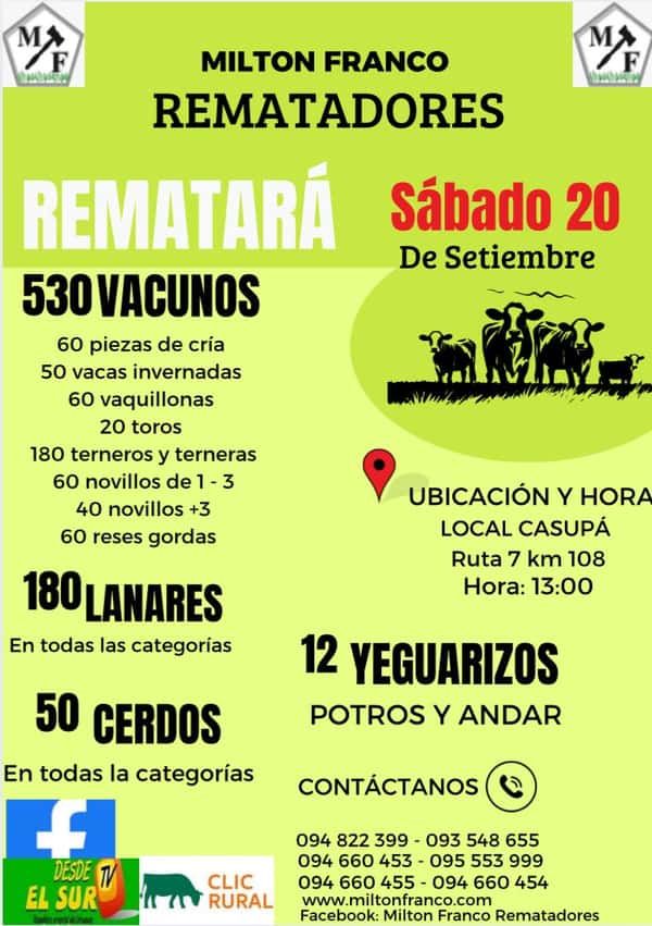 Feria Mensual - Milton Franco