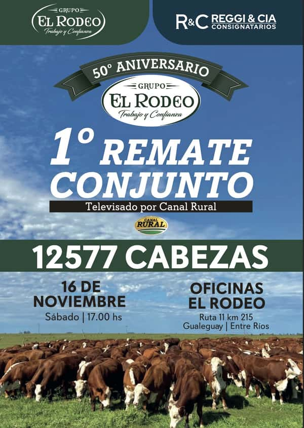 1° Remate Conjunto, Grupo 