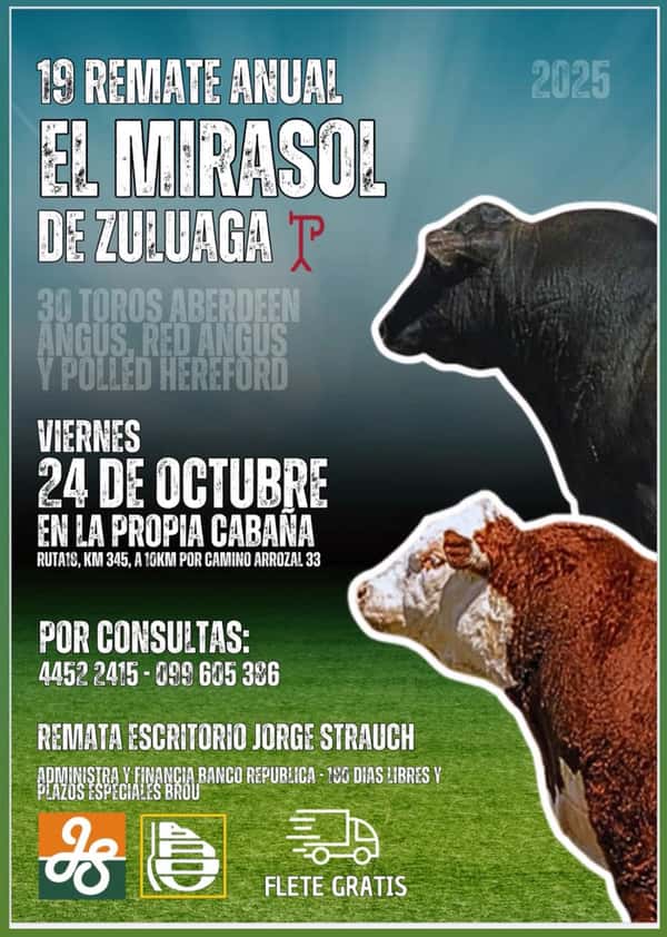 19º El Mirasol