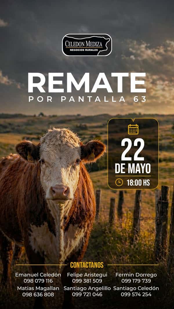 63º Remate por Pantalla