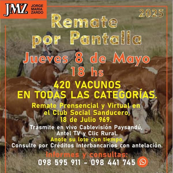 Pantalla JMZ