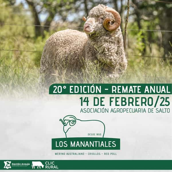  20º Edición Los Manantiales