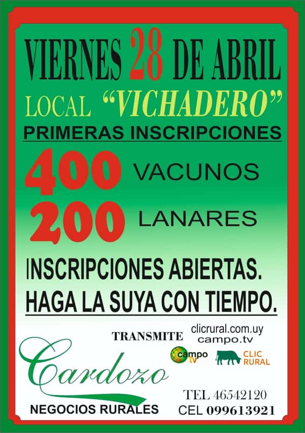 Remate Feria Mensual - Barraca Cardozo