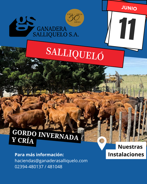  Remate Feria Ganadera Salliqueló S.A.