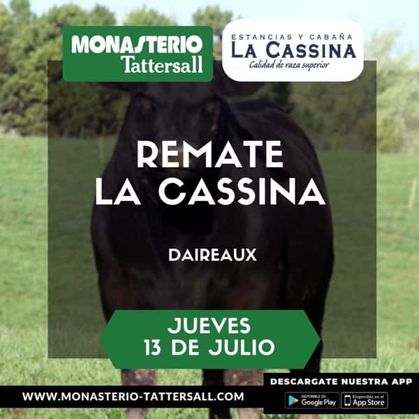 Remate Remate La Cassina 13 de Julio