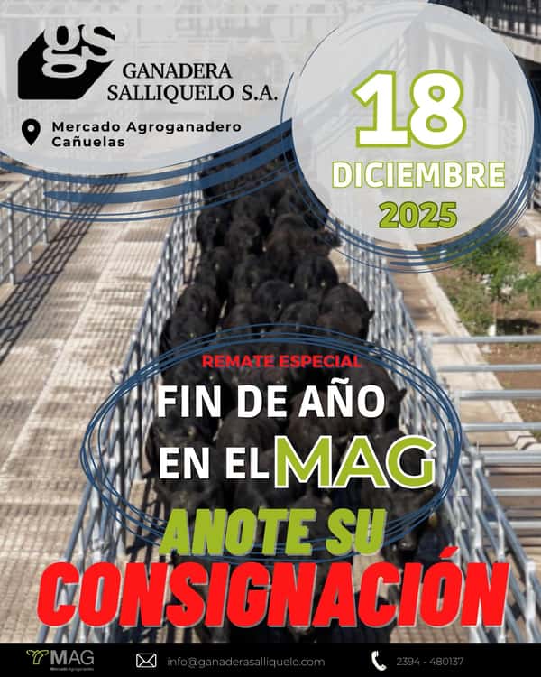  CIERRE DE AÑO EN EL MAG