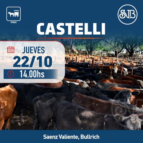 Feria en Castelli — SAENZ VALIENTE, BULLRICH Y CIA. S.A.