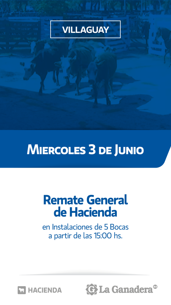  REMATE FERIA 5 BOCAS - PASO DE LA LAGUNA