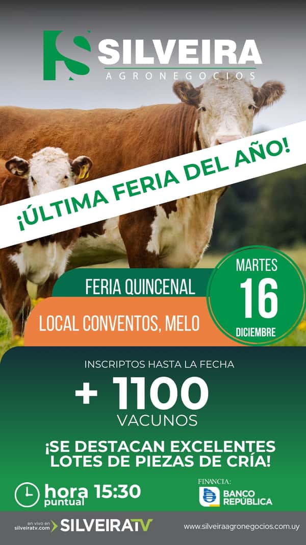  Ultima feria del año!