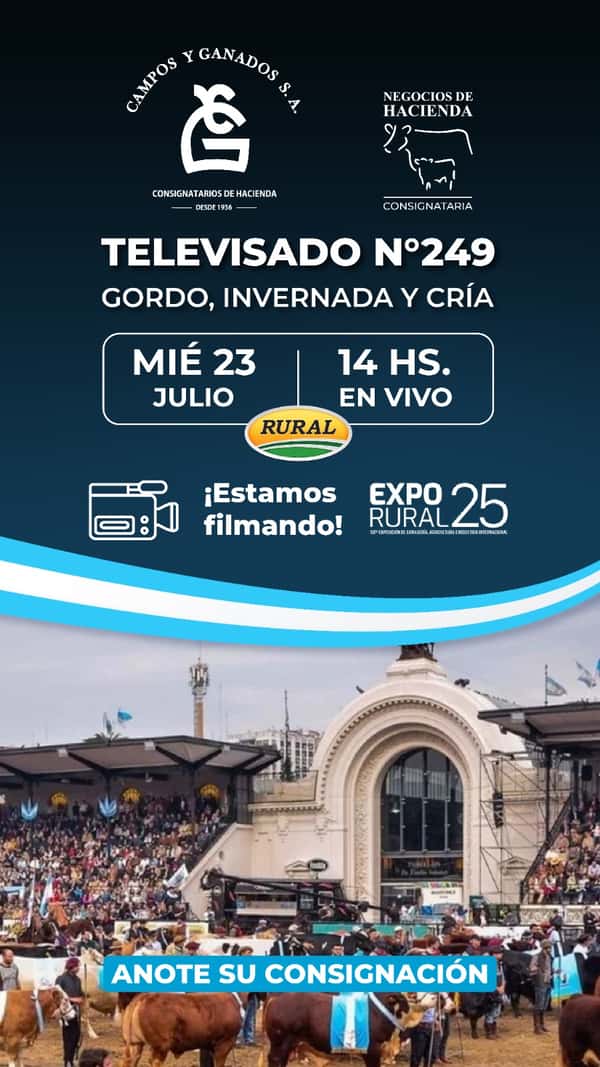  249° REMATE POR PANTALLA