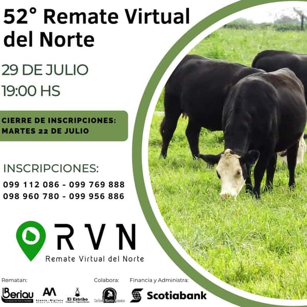  52º Remate Virtual del Norte