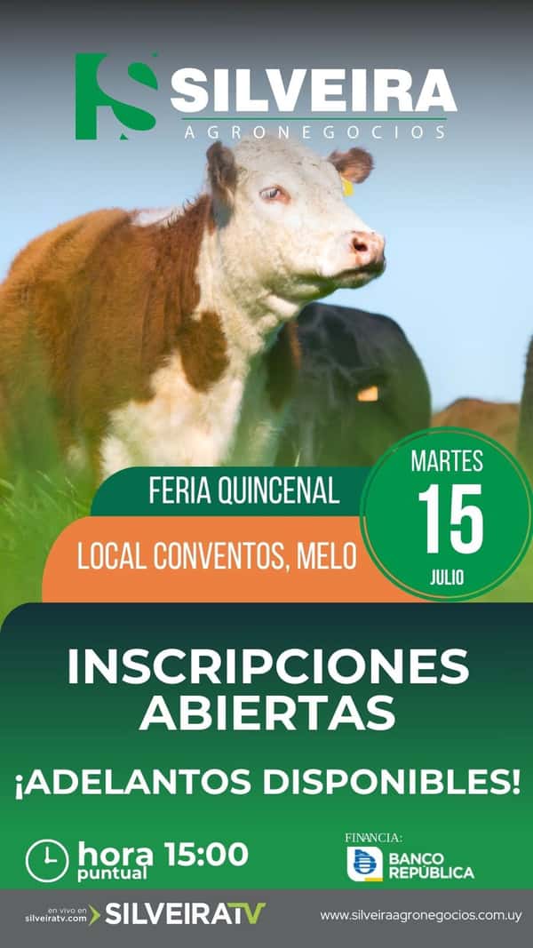 Feria Quincenal - Silveira Agronegocios