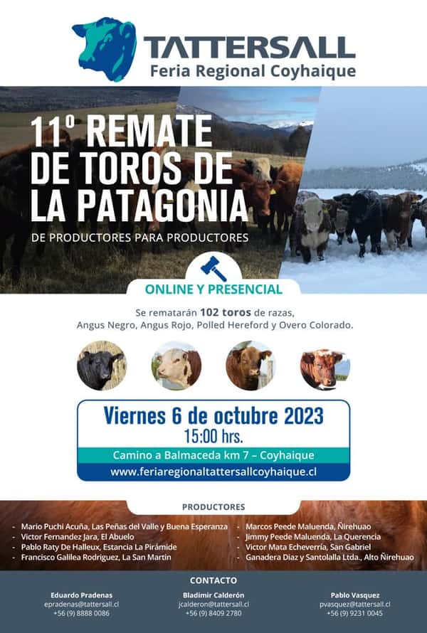  6 de Octubre, 11° Remate de Toros de la Patagonia