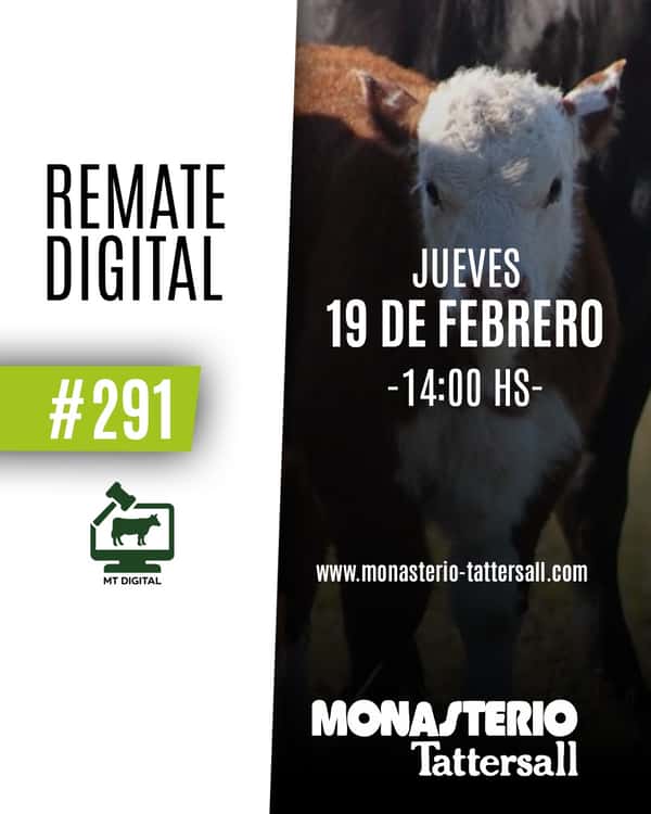 Remate digital 291°