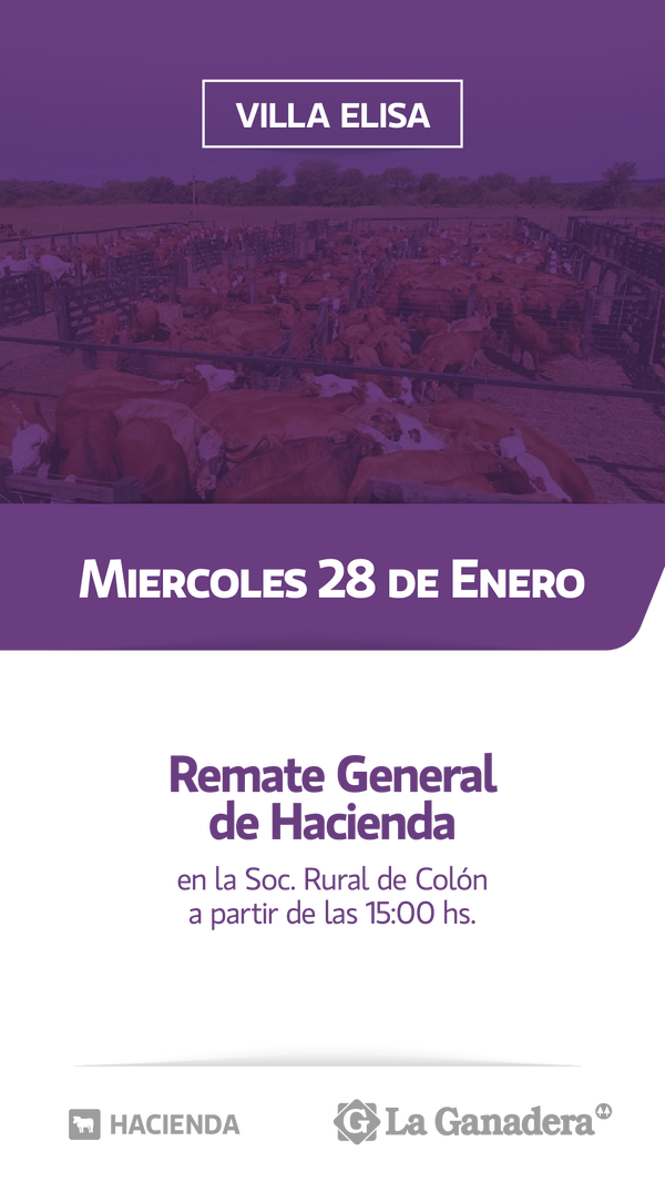  REMATE FERIA EN SOCIEDAD RURAL DE COLON