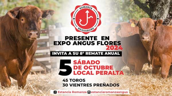  8º Remate Anual - Expo Angus Flores