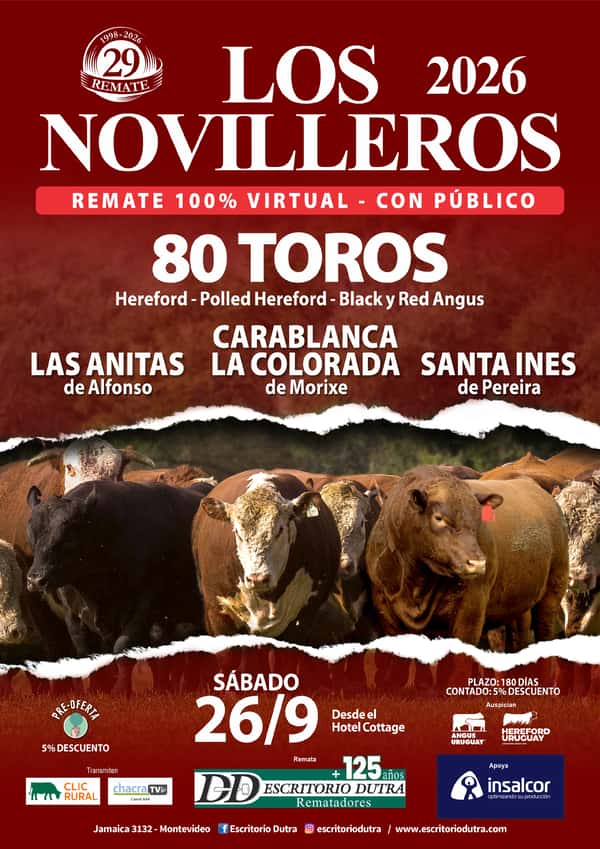 Los Novilleros — Escritorio Dutra LTDA.