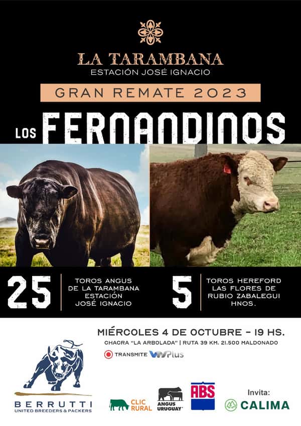 Los Fernandinos - La Tarambana